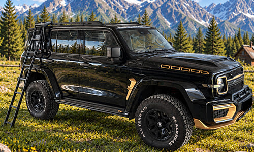 Black SUV with an exterior side ladder in an outdoor setting