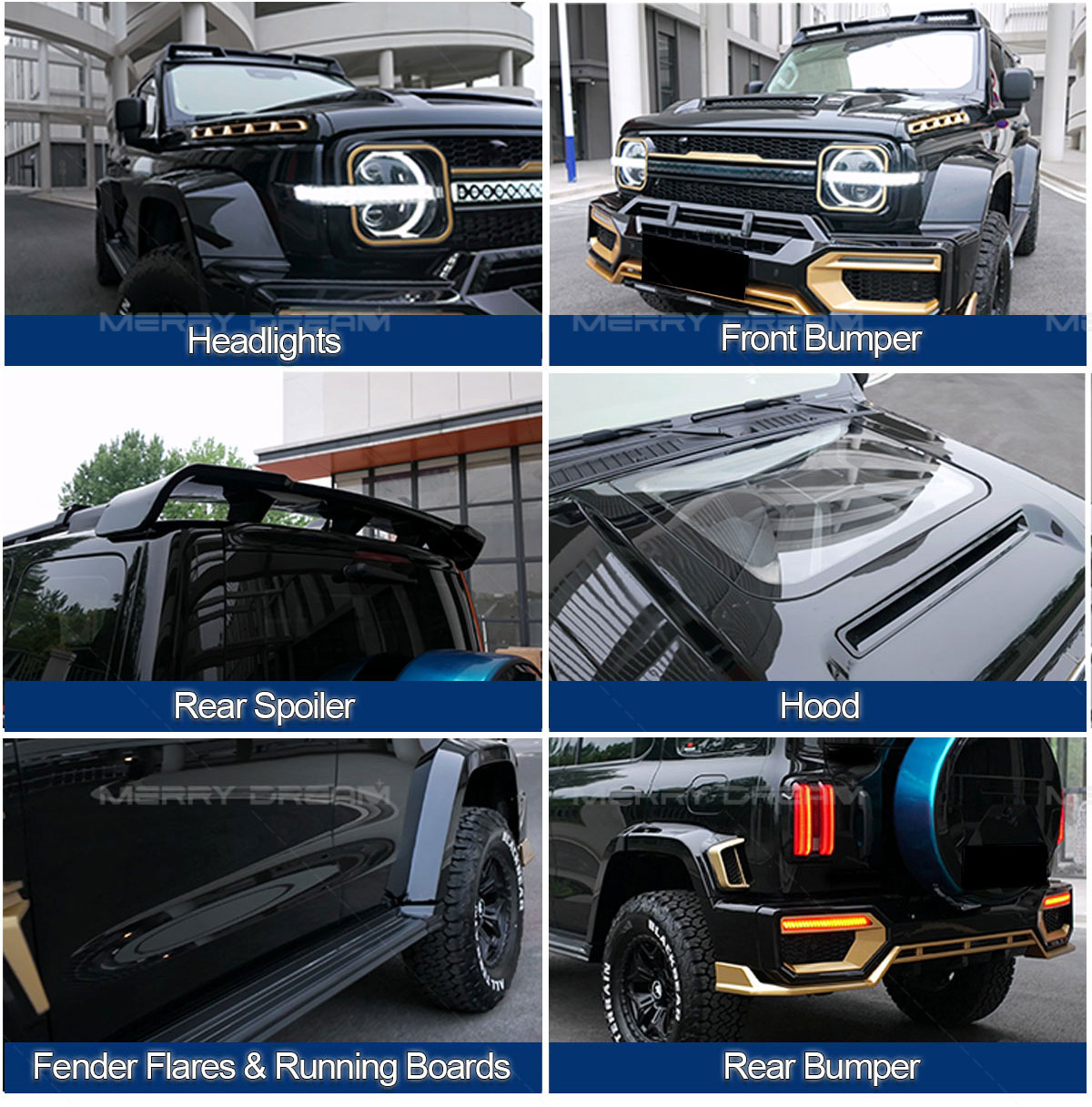 Golden Shark kit details including lights, bumpers, spoiler, hood, fenders and running boards